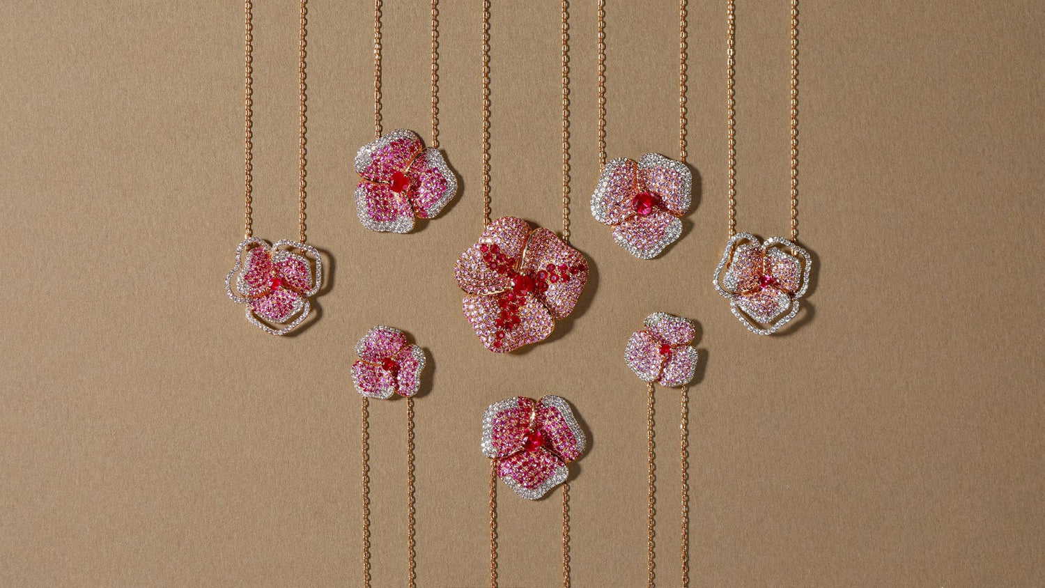 Bloom Collection